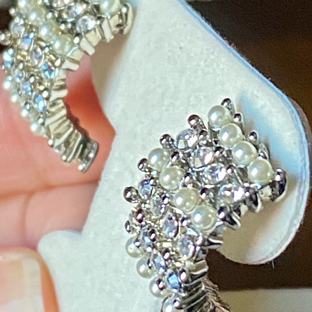 Gorgeous earrings